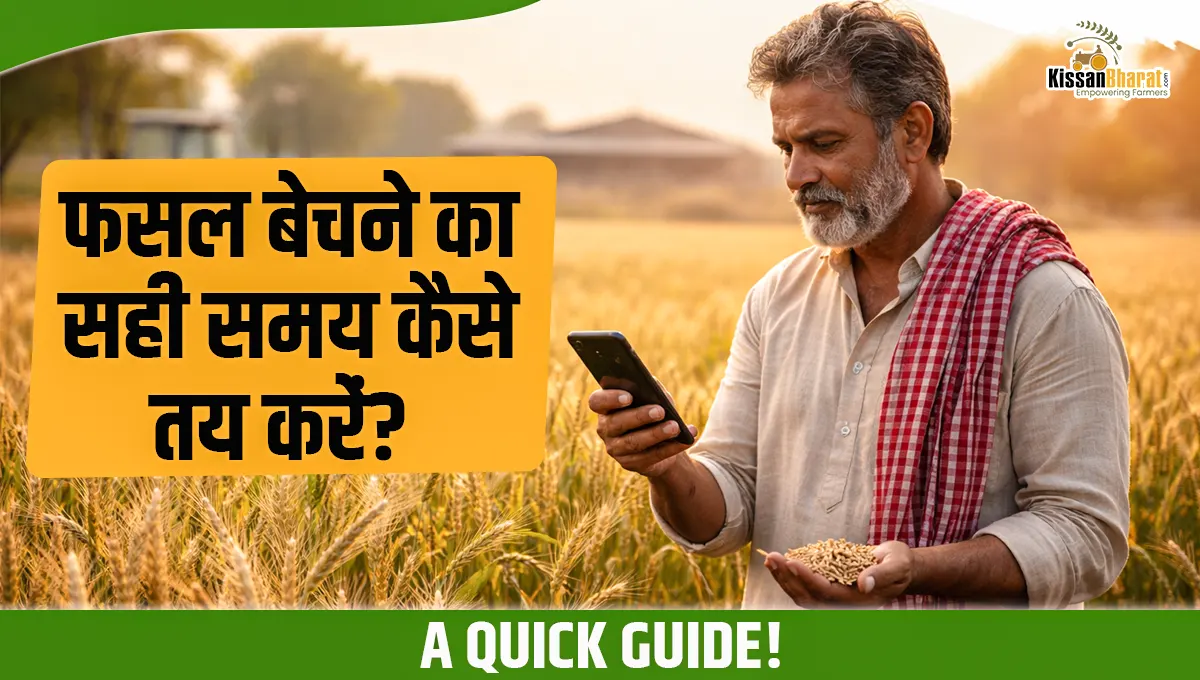 फसल बेचने का सही समय कैसे तय करें? A Quick Guide! 