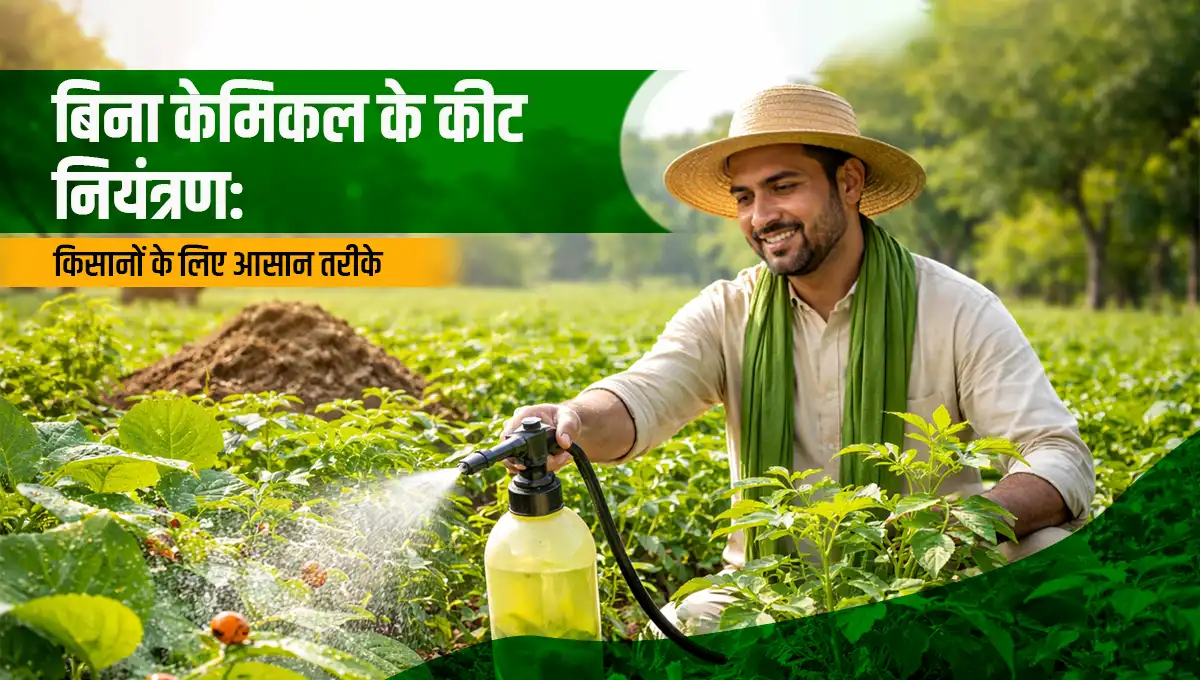 Organic Pest Control Methods for Farmers: Safe & Effective Ways