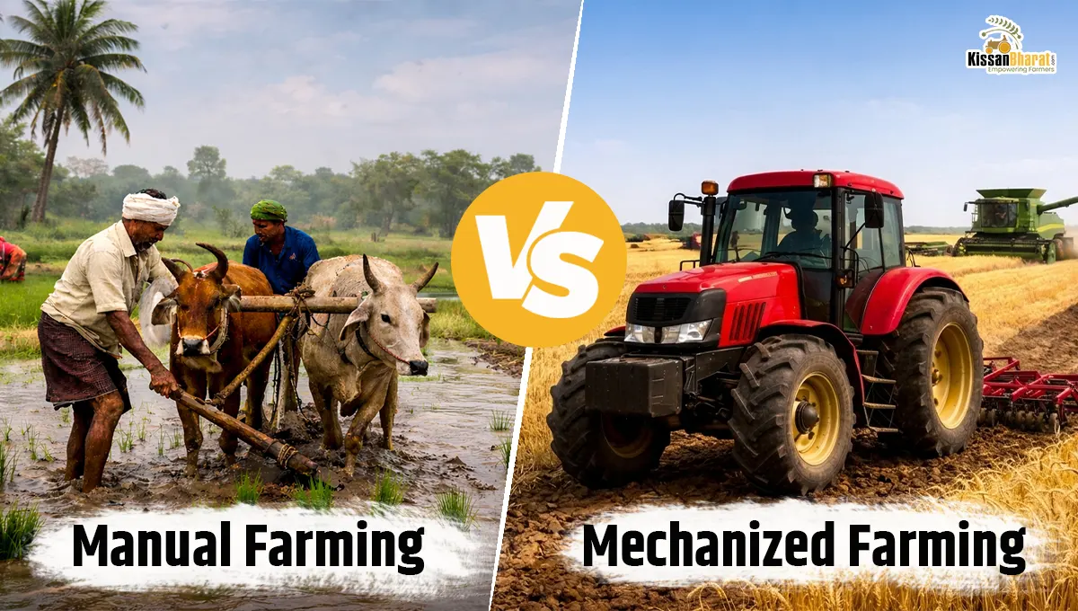 Manual Farming vs Mechanized Farming: Which is Better for Modern Agriculture? 
