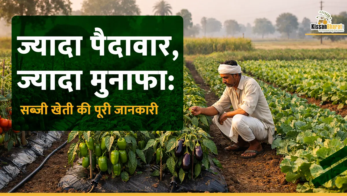 High Yield Vegetable Farming for Maximum Profit