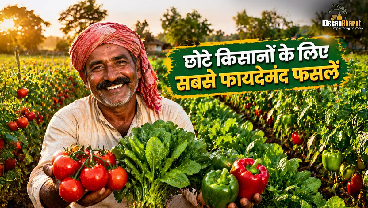 Most Profitable Crops for Small Land Farmers