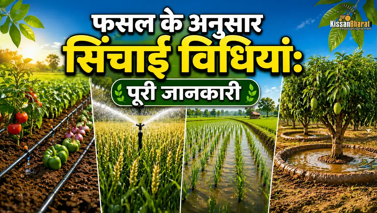 Best Irrigation Methods for Different Crops: Smart Water Use Guide