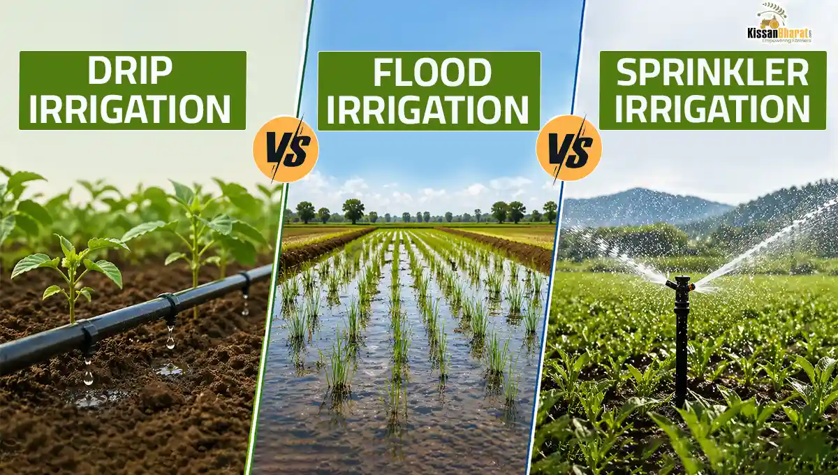 Drip Irrigation vs Flood Irrigation vs Sprinkler Irrigation: Which is Best?