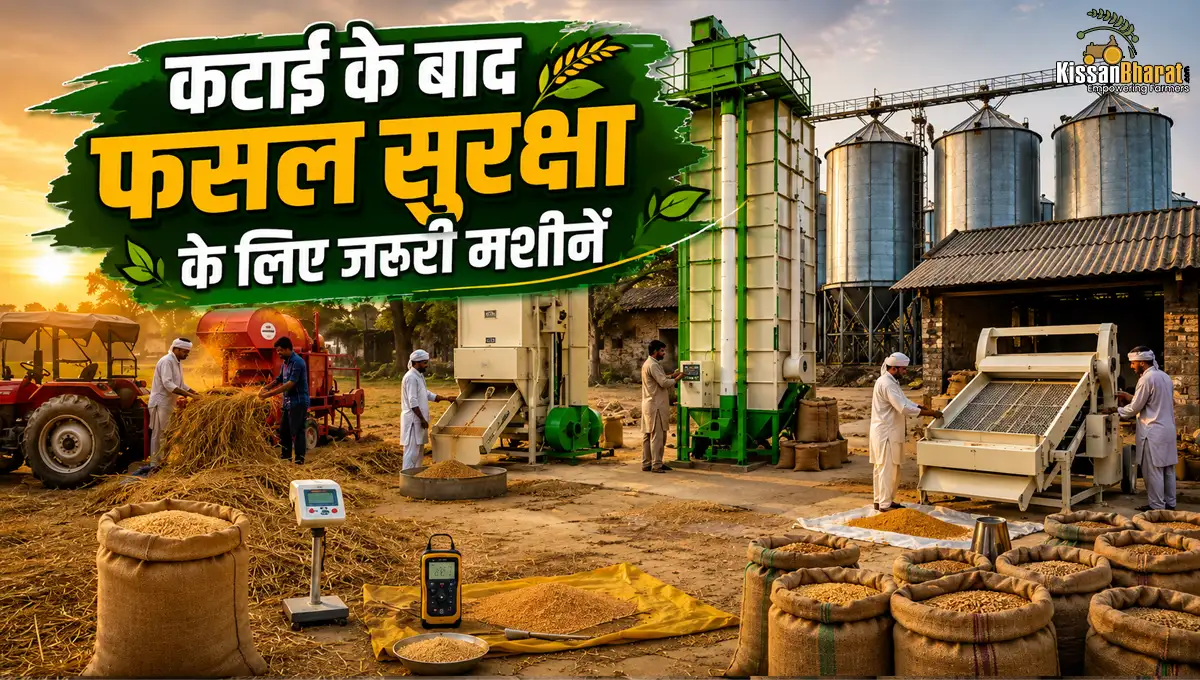 Post-Harvest Equipment That Reduces Crop Loss