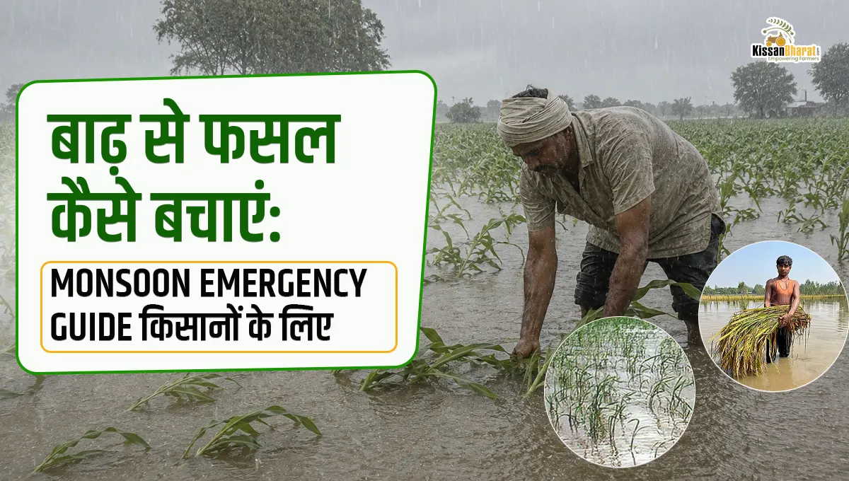 बाढ़ से फसल कैसे बचाएं: Monsoon Emergency Guide किसानों के लिए
