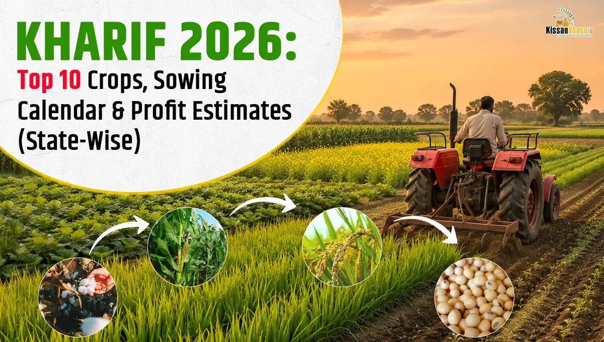 Kharif 2026: Top 10 Crops, Sowing Calendar & Profit Estimates (State-Wise)