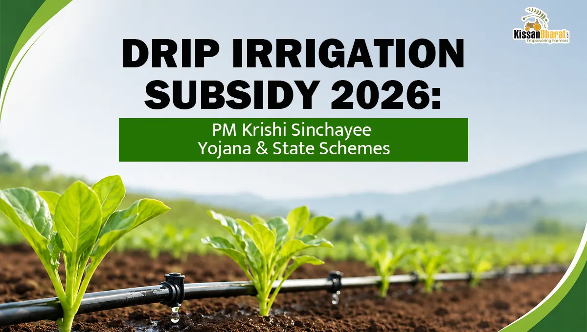 Drip Irrigation Subsidy 2026: PM Krishi Sinchayee Yojana & State Schemes: Complete Guide