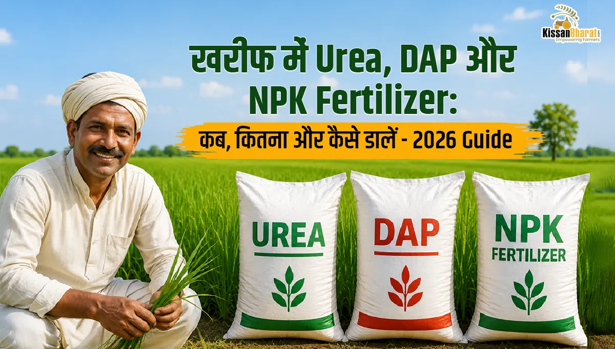 खरीफ में Urea, DAP और NPK Fertilizer: कब, कितना और कैसे डालें — 2026 Guide