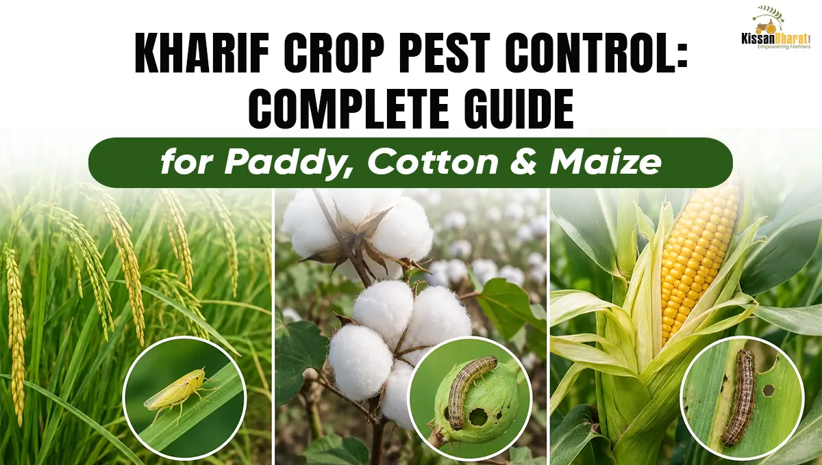 Kharif Crop Pest Control: Complete Guide for Paddy, Cotton & Maize