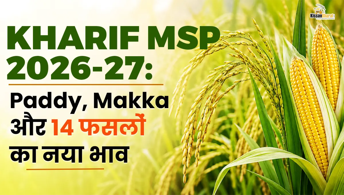 Kharif MSP 2026-27: Paddy, Makka और 14 फसलों का नया भाव 