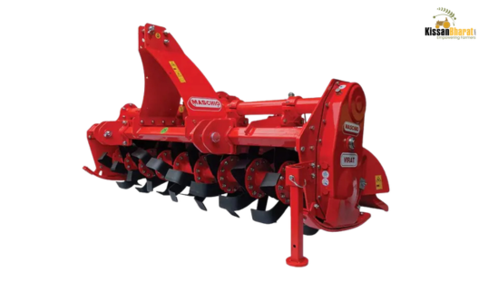 MASCHIO GASPARDO