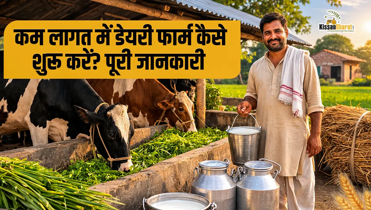 कम लागत म�