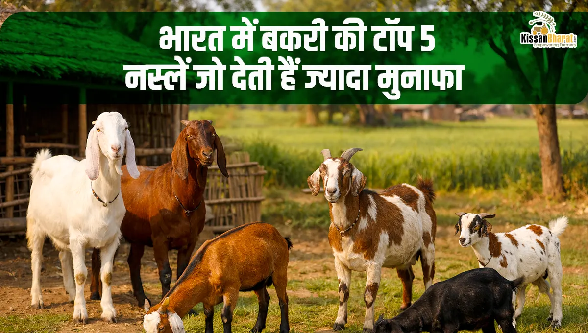 भारत में �