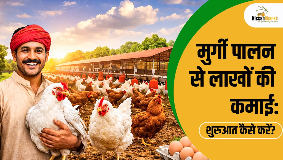 मुर्गी पा