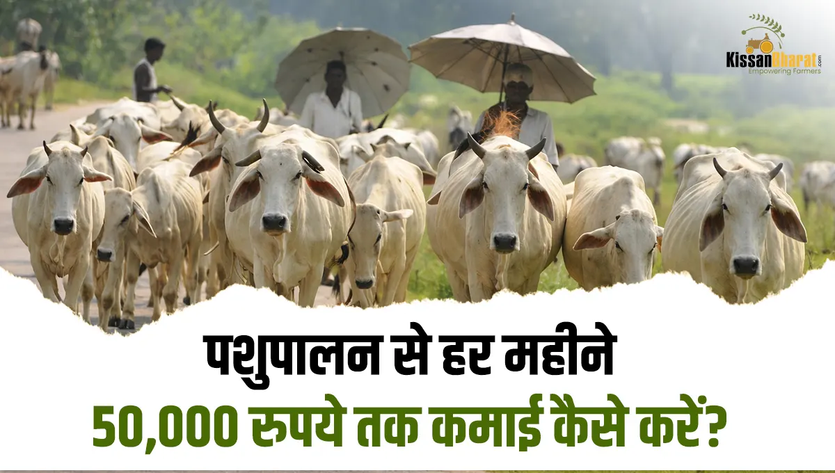 पशुपालन स